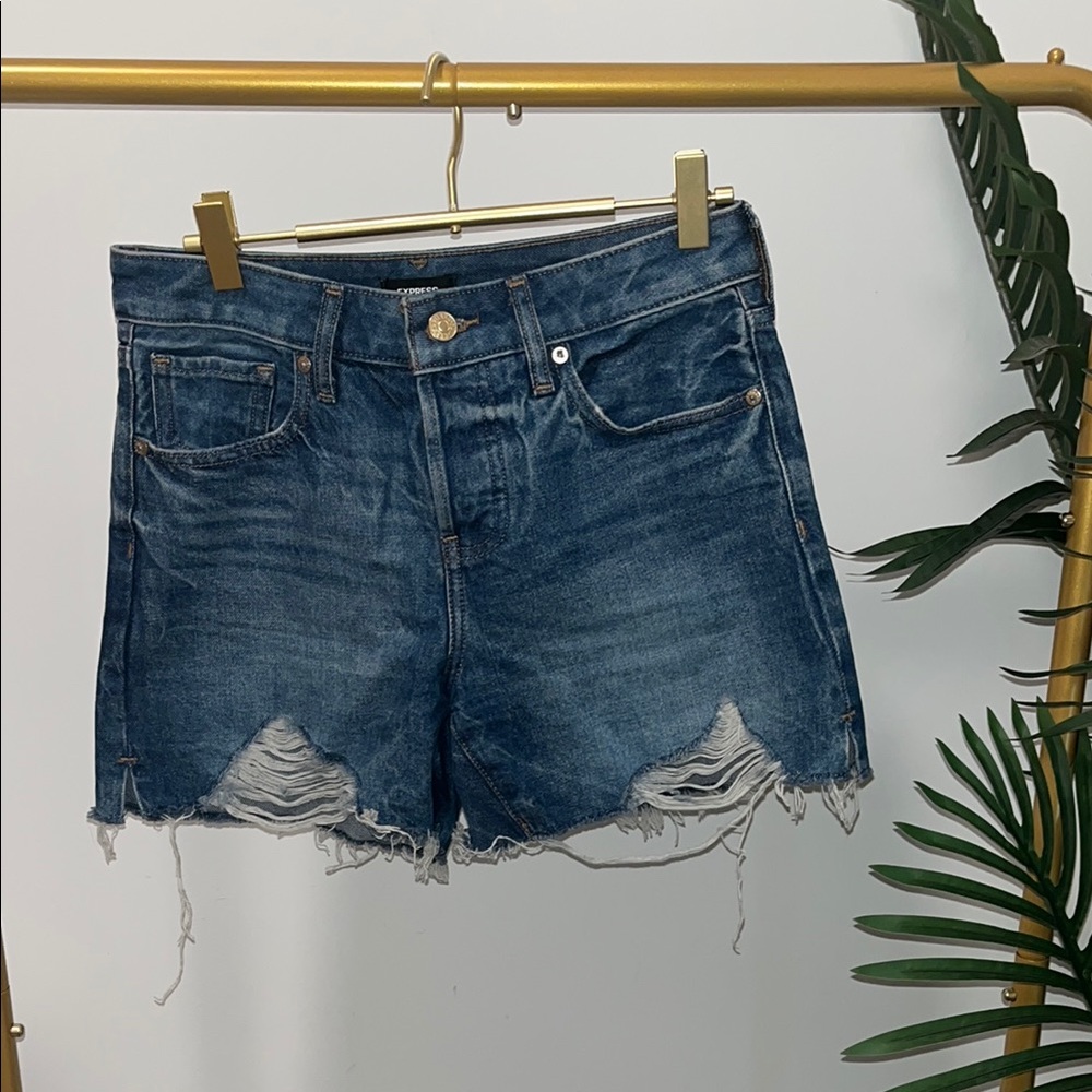 Denim Distressed  Mid-rise Women's Button fly Shorts